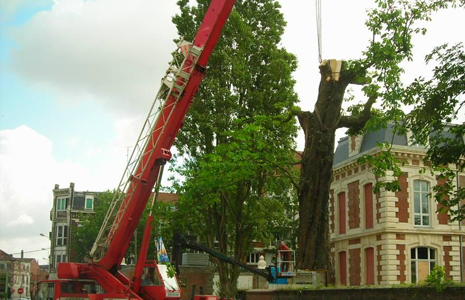 ABATTAGE PAR UNE GRUE